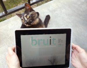 Bruit Brut 02
