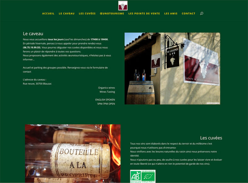 site Internet Remi Curtil