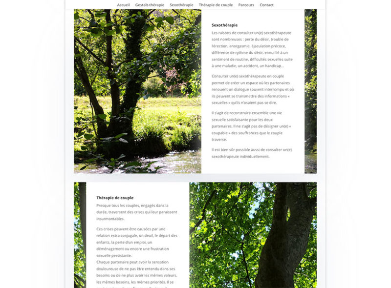 création site internet vidal